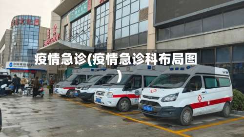疫情急诊(疫情急诊科布局图)