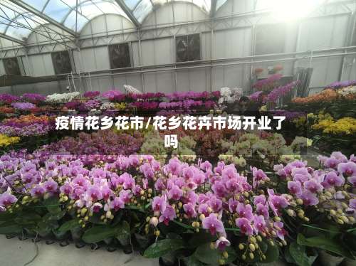 疫情花乡花市/花乡花卉市场开业了吗