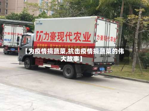 【为疫情捐蔬菜,抗击疫情捐蔬菜的伟大故事】
