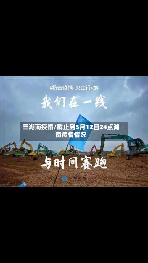 三湖南疫情/截止到3月12日24点湖南疫情情况