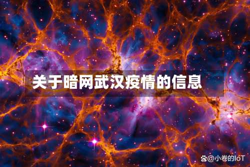 关于暗网武汉疫情的信息-第3张图片