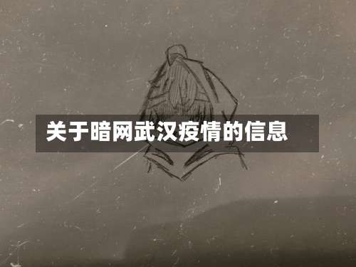 关于暗网武汉疫情的信息-第2张图片