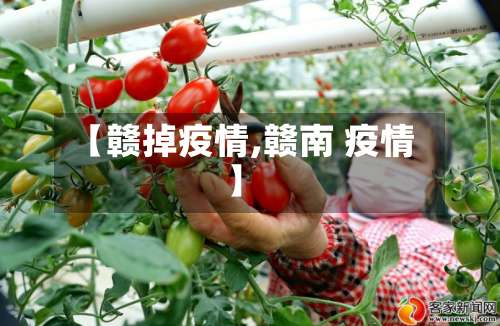 【赣掉疫情,赣南 疫情】