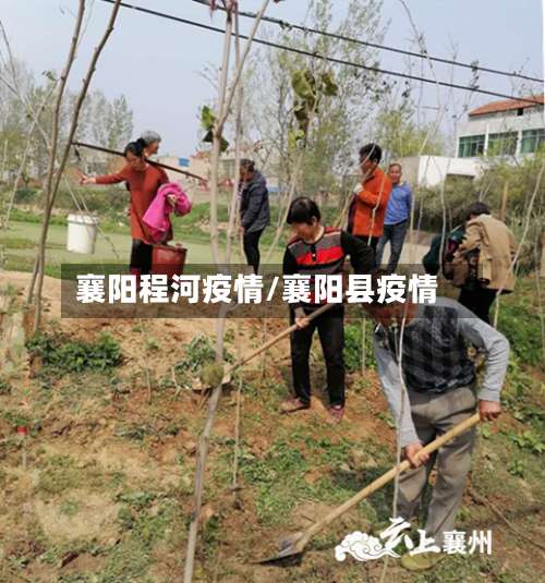 襄阳程河疫情/襄阳县疫情-第2张图片