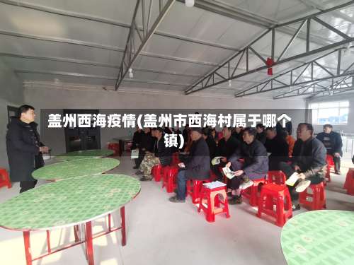 盖州西海疫情(盖州市西海村属于哪个镇)-第2张图片