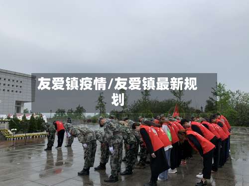 友爱镇疫情/友爱镇最新规划