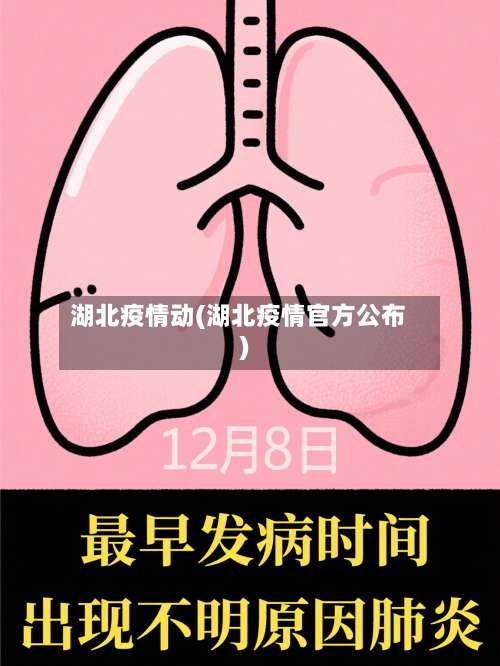 湖北疫情动(湖北疫情官方公布)-第3张图片
