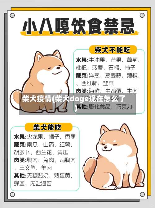 柴犬疫情(柴犬doge现在怎么了)-第2张图片