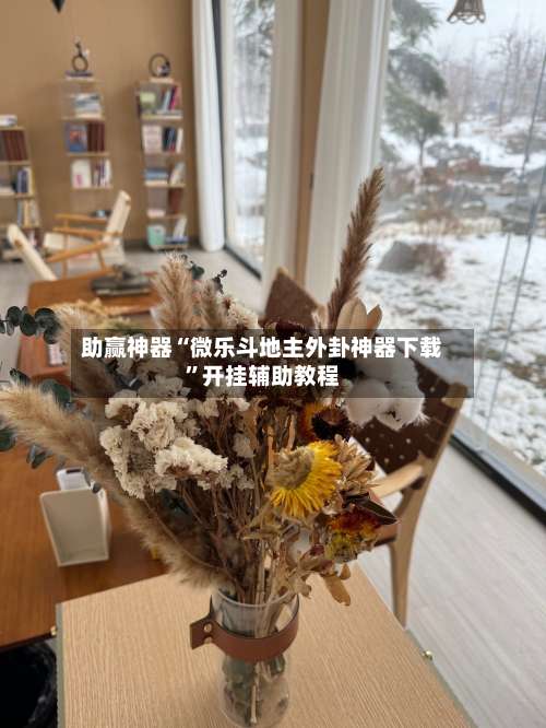 助赢神器“微乐斗地主外卦神器下载”开挂辅助教程-第3张图片