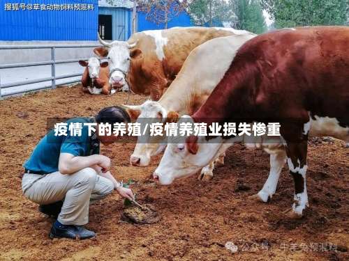 疫情下的养殖/疫情养殖业损失惨重-第2张图片