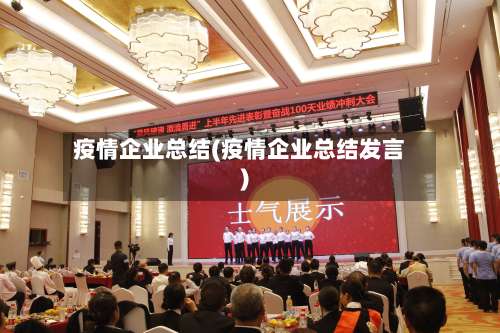 疫情企业总结(疫情企业总结发言)