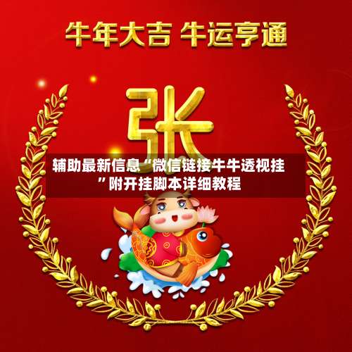 辅助最新信息“微信链接牛牛透视挂”附开挂脚本详细教程-第3张图片