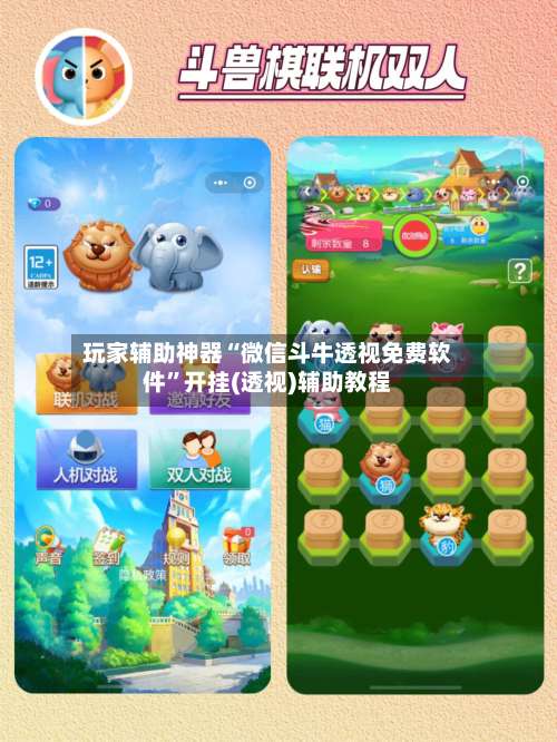 玩家辅助神器“微信斗牛透视免费软件”开挂(透视)辅助教程-第3张图片