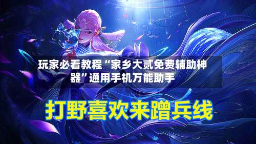 玩家必看教程“家乡大贰免费辅助神器”通用手机万能助手