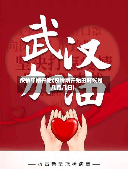 疫情中刚开始(疫情刚开始的时候是几月几日)
