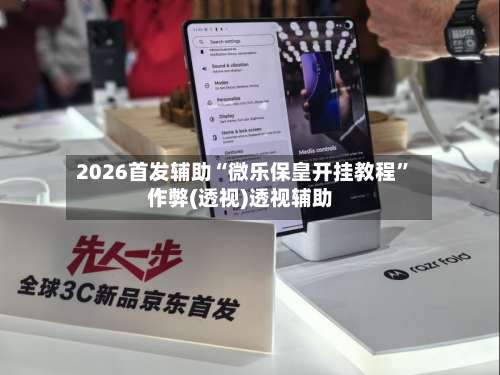 2026首发辅助“微乐保皇开挂教程”作弊(透视)透视辅助-第2张图片