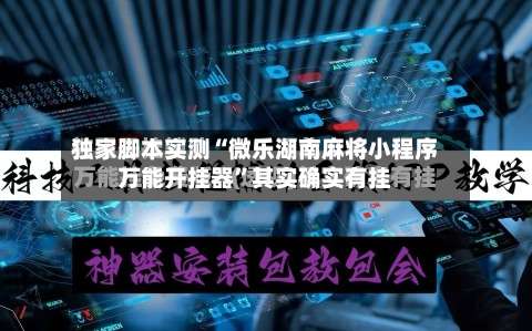 独家脚本实测“微乐湖南麻将小程序万能开挂器”其实确实有挂-第3张图片