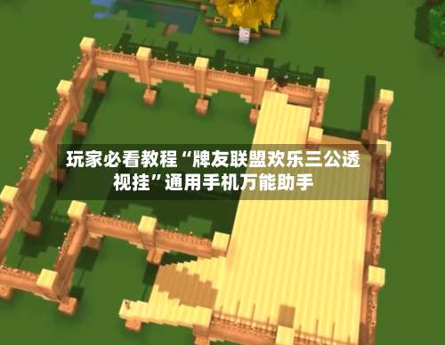 玩家必看教程“牌友联盟欢乐三公透视挂	”通用手机万能助手-第2张图片