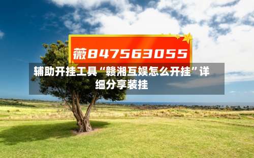 辅助开挂工具“赣湘互娱怎么开挂”详细分享装挂-第2张图片