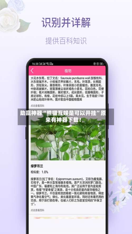 助赢神器“熊猫互娱是可以开挂”原来有神器下载！