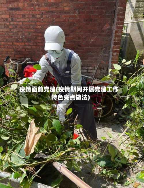 疫情面前党建(疫情期间开展党建工作特色亮点做法)