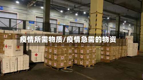 疫情所需物质/疫情急需的物资