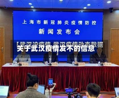 关于武汉疫情发不的信息
