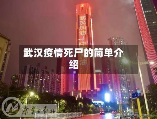 武汉疫情死尸的简单介绍-第2张图片