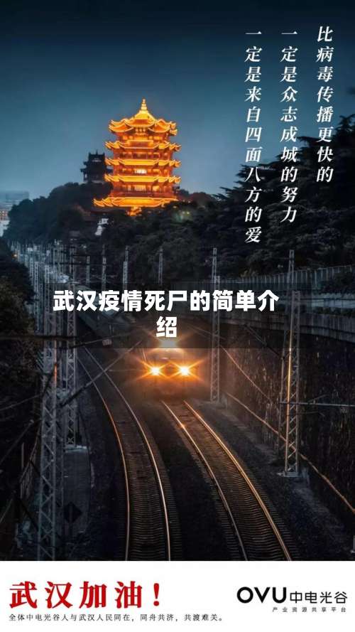 武汉疫情死尸的简单介绍
