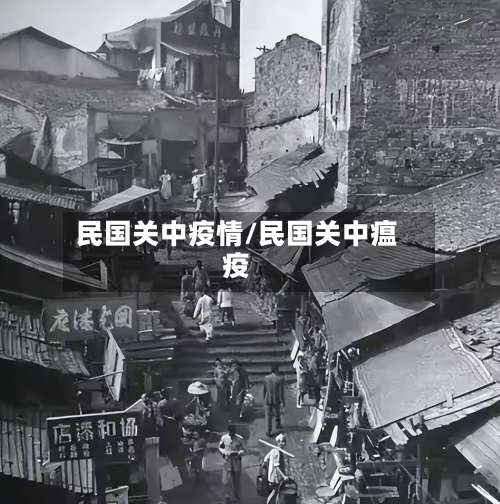 民国关中疫情/民国关中瘟疫