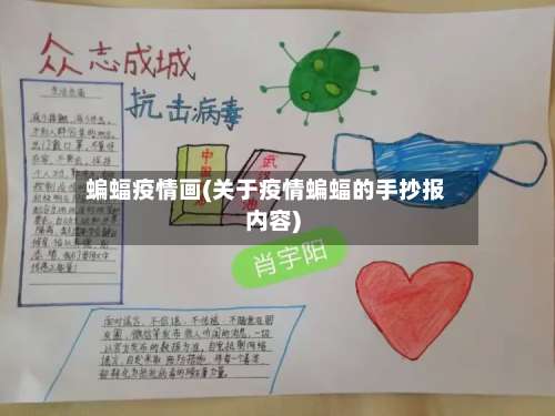 蝙蝠疫情画(关于疫情蝙蝠的手抄报内容)