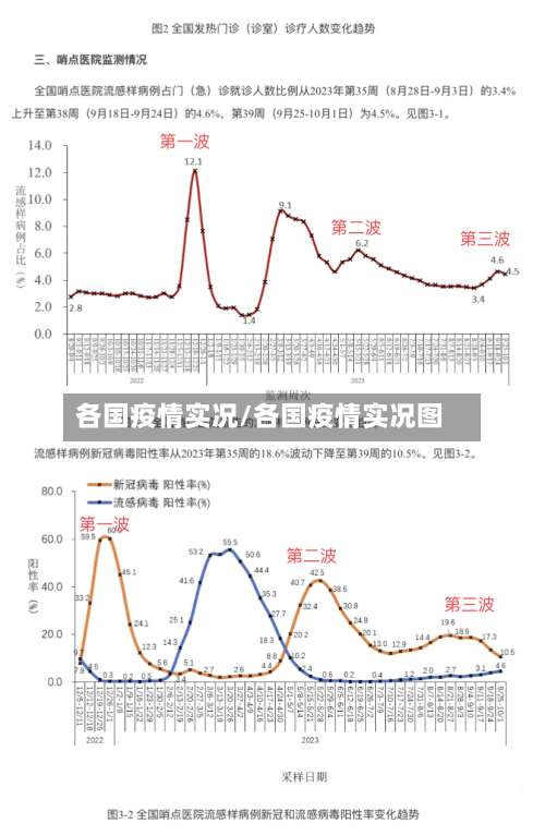 各国疫情实况/各国疫情实况图-第3张图片