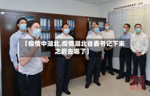 【疫情中湖北,疫情湖北省委书记下来之后去哪了】