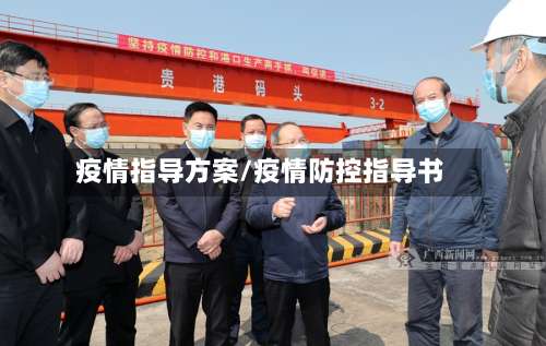 疫情指导方案/疫情防控指导书