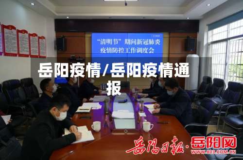 岳阳疫情/岳阳疫情通报-第3张图片