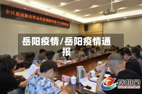 岳阳疫情/岳阳疫情通报-第2张图片