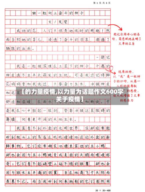 【的力量疫情,以力量为话题作文600字关于疫情】-第2张图片