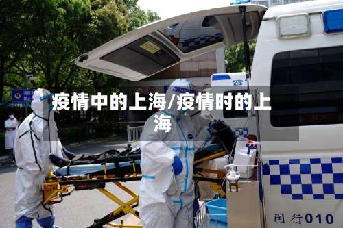 疫情中的上海/疫情时的上海
