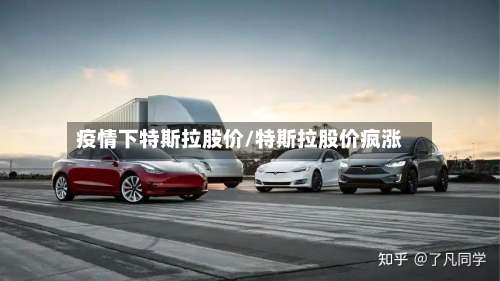 疫情下特斯拉股价/特斯拉股价疯涨-第2张图片