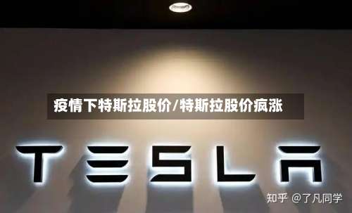 疫情下特斯拉股价/特斯拉股价疯涨
