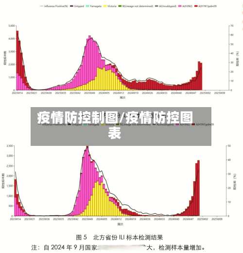 疫情防控制图/疫情防控图表-第2张图片