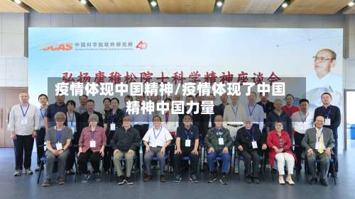 疫情体现中国精神/疫情体现了中国精神中国力量-第2张图片