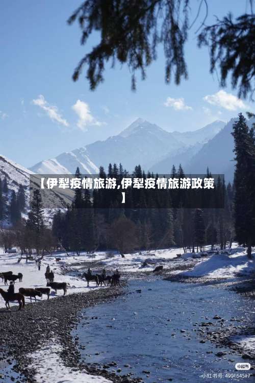 【伊犁疫情旅游,伊犁疫情旅游政策】