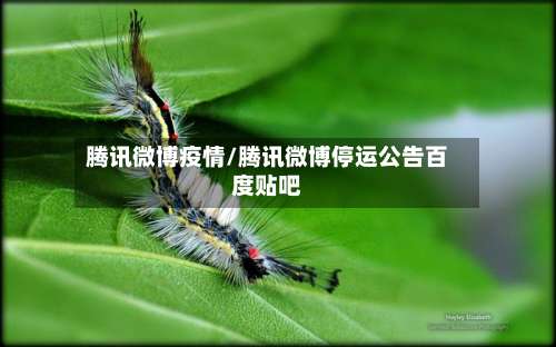 腾讯微博疫情/腾讯微博停运公告百度贴吧