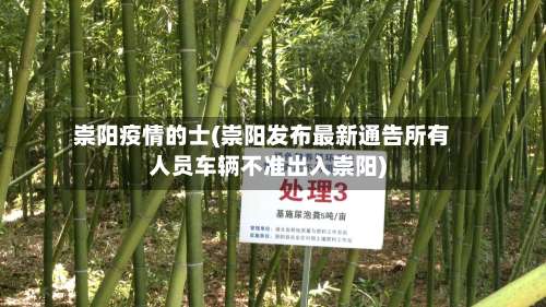 崇阳疫情的士(崇阳发布最新通告所有人员车辆不准出入崇阳)-第2张图片