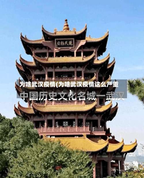为啥武汉疫情(为啥武汉疫情这么严重)