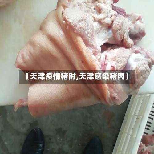 【天津疫情猪肘,天津感染猪肉】-第2张图片