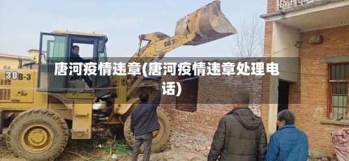 唐河疫情违章(唐河疫情违章处理电话)