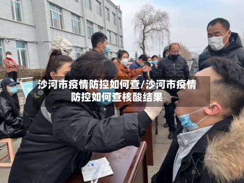 沙河市疫情防控如何查/沙河市疫情防控如何查核酸结果