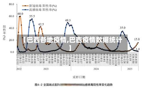【巴西各地疫情,巴西疫情数据统计】-第2张图片